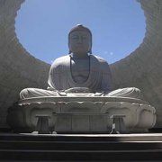 "Đức Phật khổng lồ" ngồi trong trung tâm ngọn đồi hoa oải hương tại Nhật