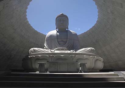 "Đức Phật khổng lồ" ngồi trong trung tâm ngọn đồi hoa oải hương tại Nhật